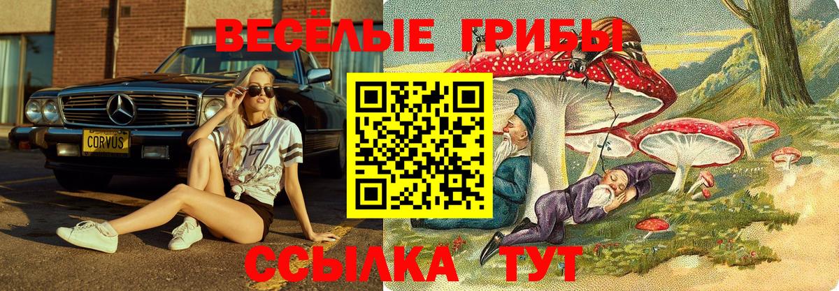 Галлюциногенные грибы Magic Shrooms Сыктывкар
